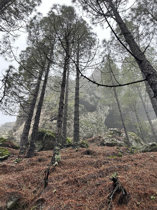Hiking Roque Nublo details